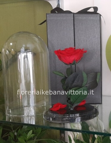 Rose rosse stabilizzate