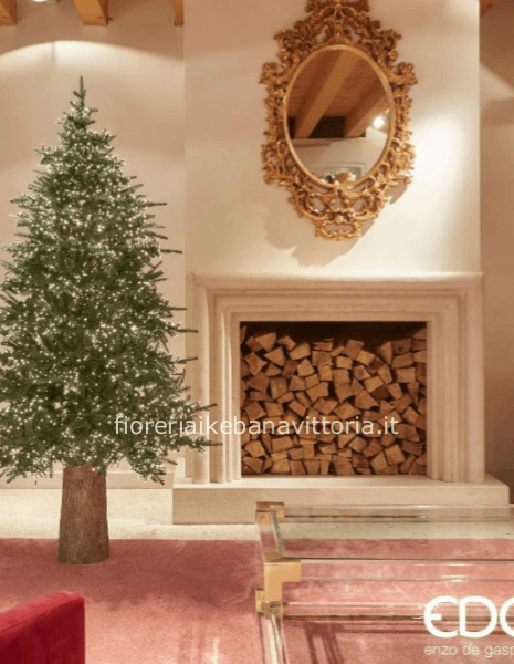 EDG Enzo De Gasperi Pino Spark