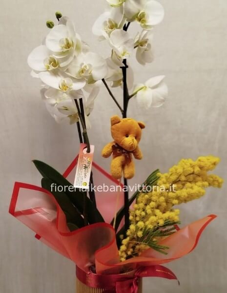 Box con orchidea